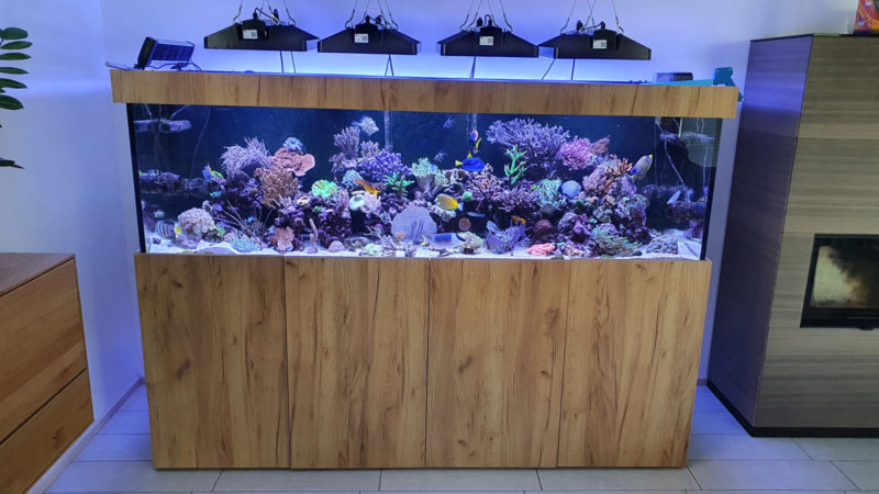 Aquarium_aufgebaut-2