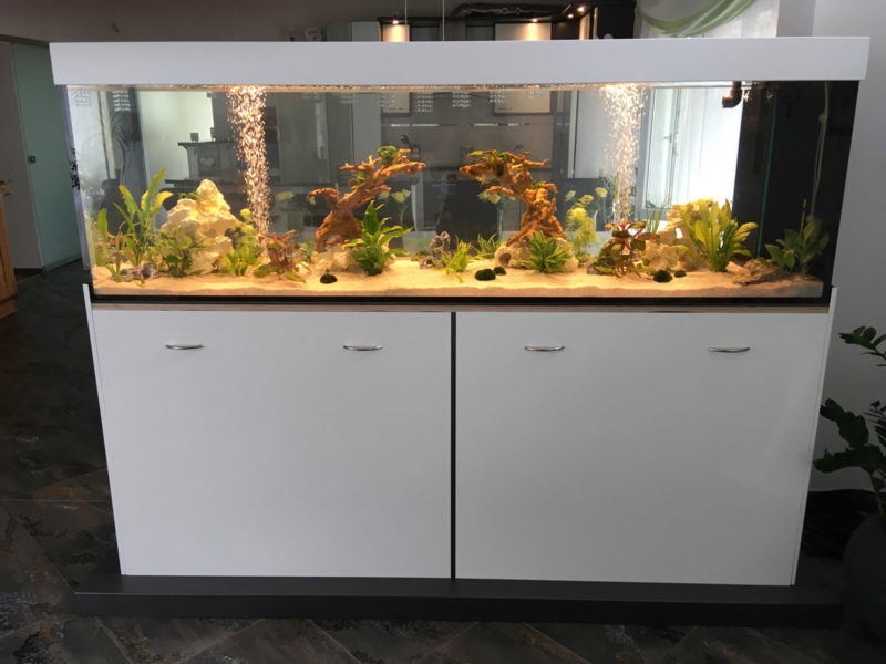 Aquarium_aufgebaut