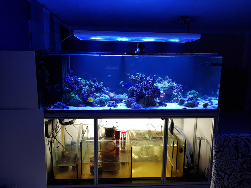 Aquarium_mit_Filteranlage