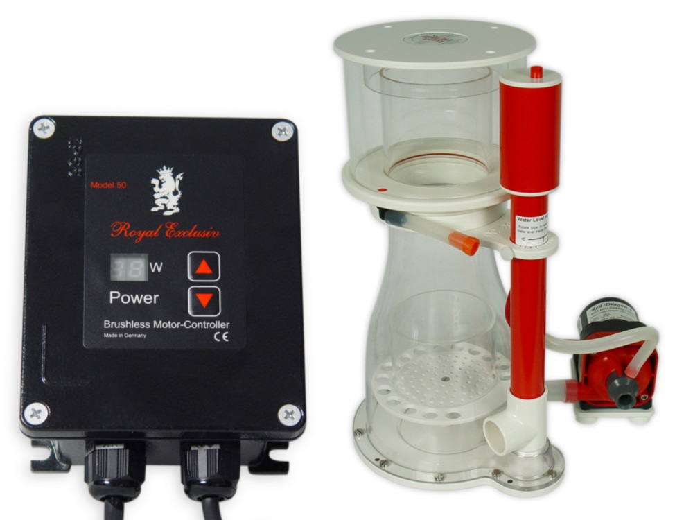 Double Cone 200 + RD3 Speedy