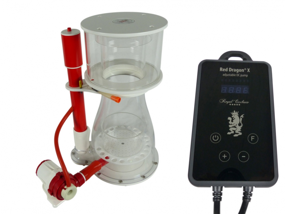 Double Cone 250 + RDX DC 24V