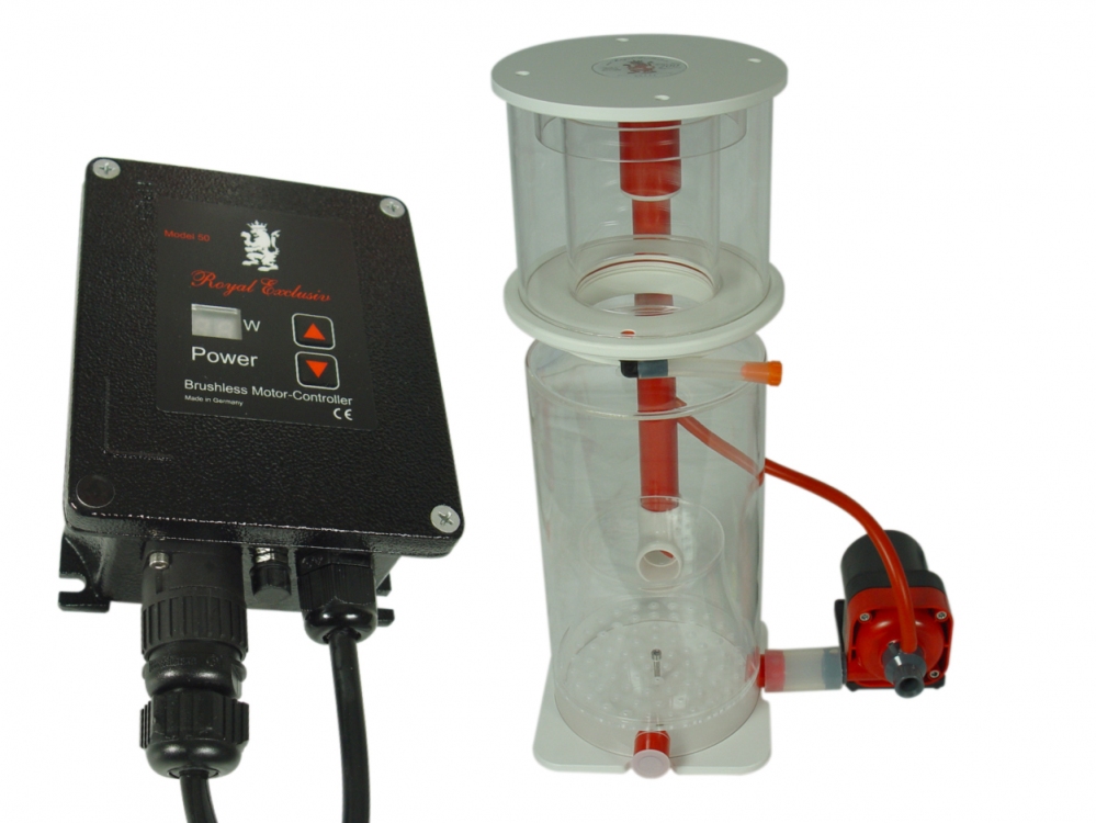 Supermarin 200 + RD3 Speedy