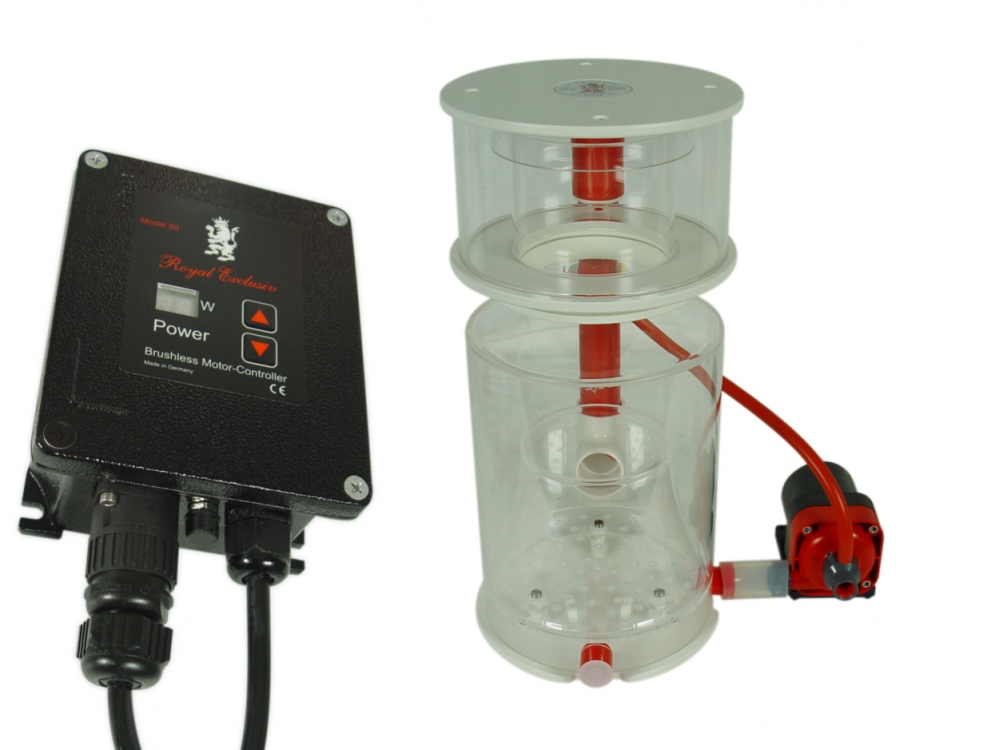 Supermarin 250 + RD3 Speedy