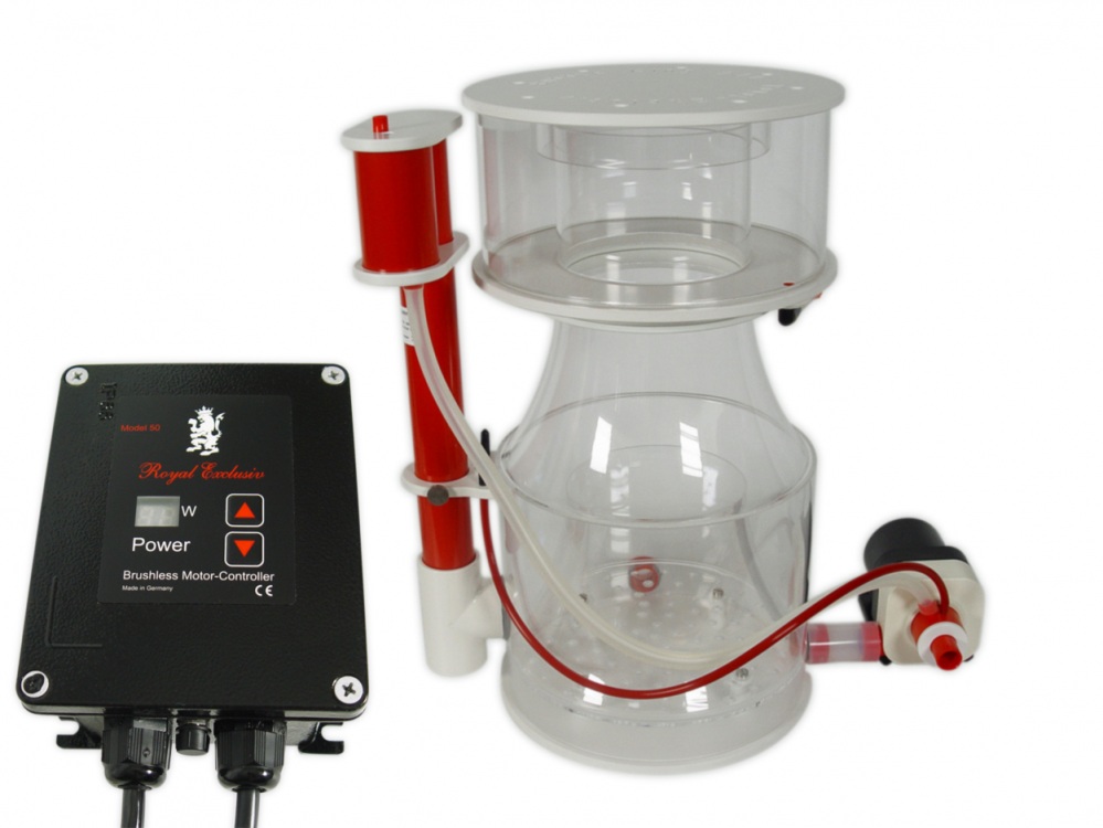 Supermarin 300 + RD3 Speedy 60W