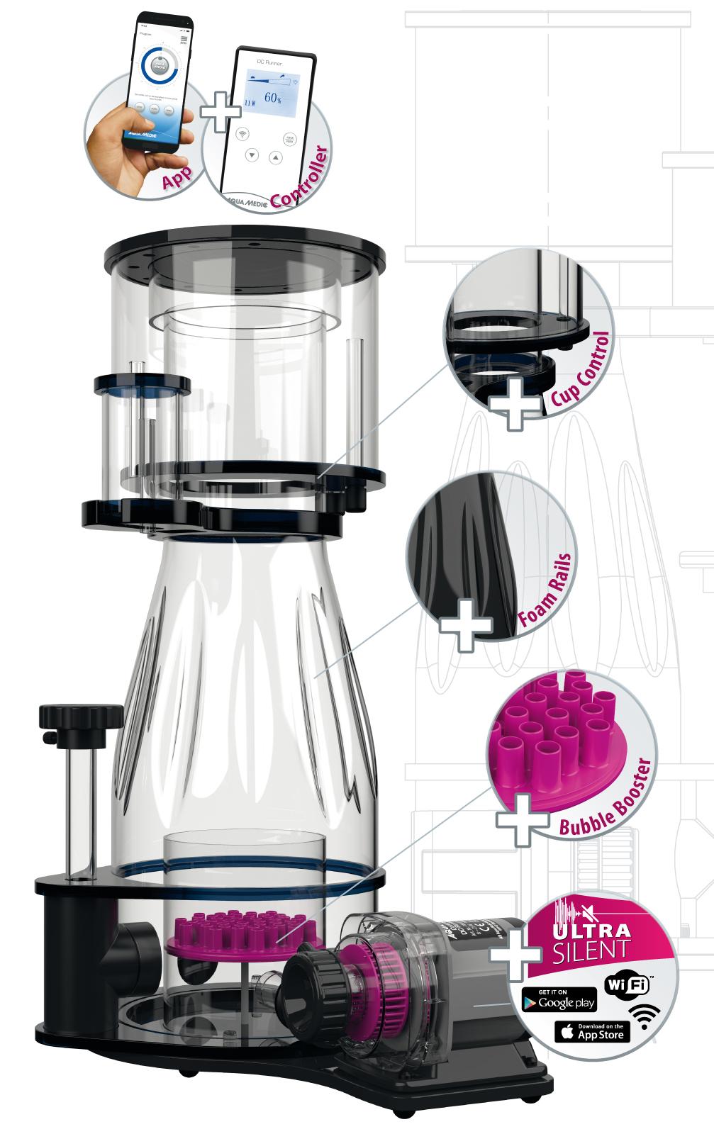 h_Ocean+Queen_16317981141