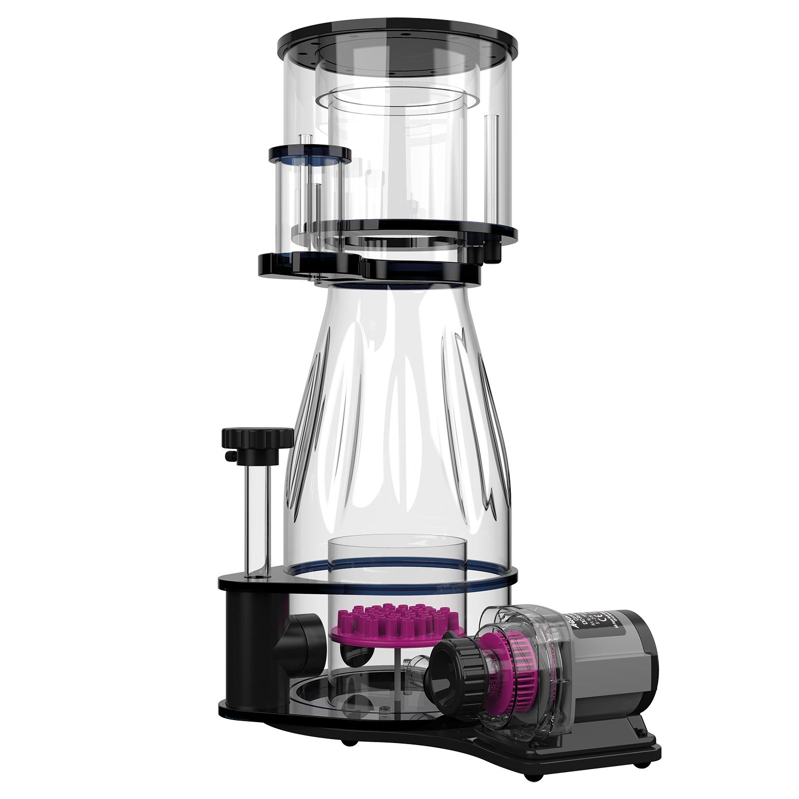 h_Ocean+Queen_16317981153