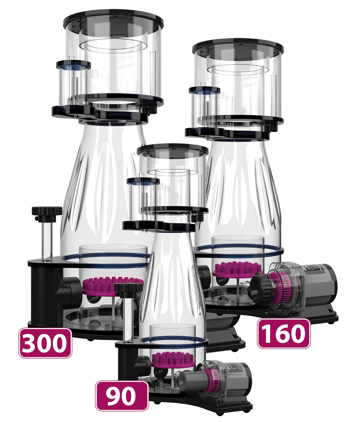 h_Ocean+Queen_16317983400