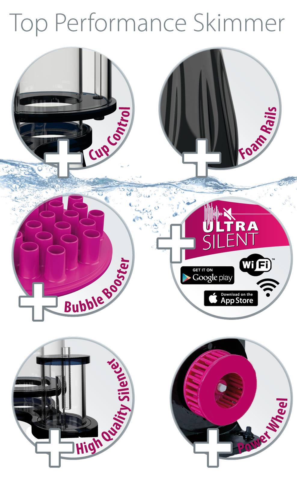 h_Ocean+Queen_16317983401