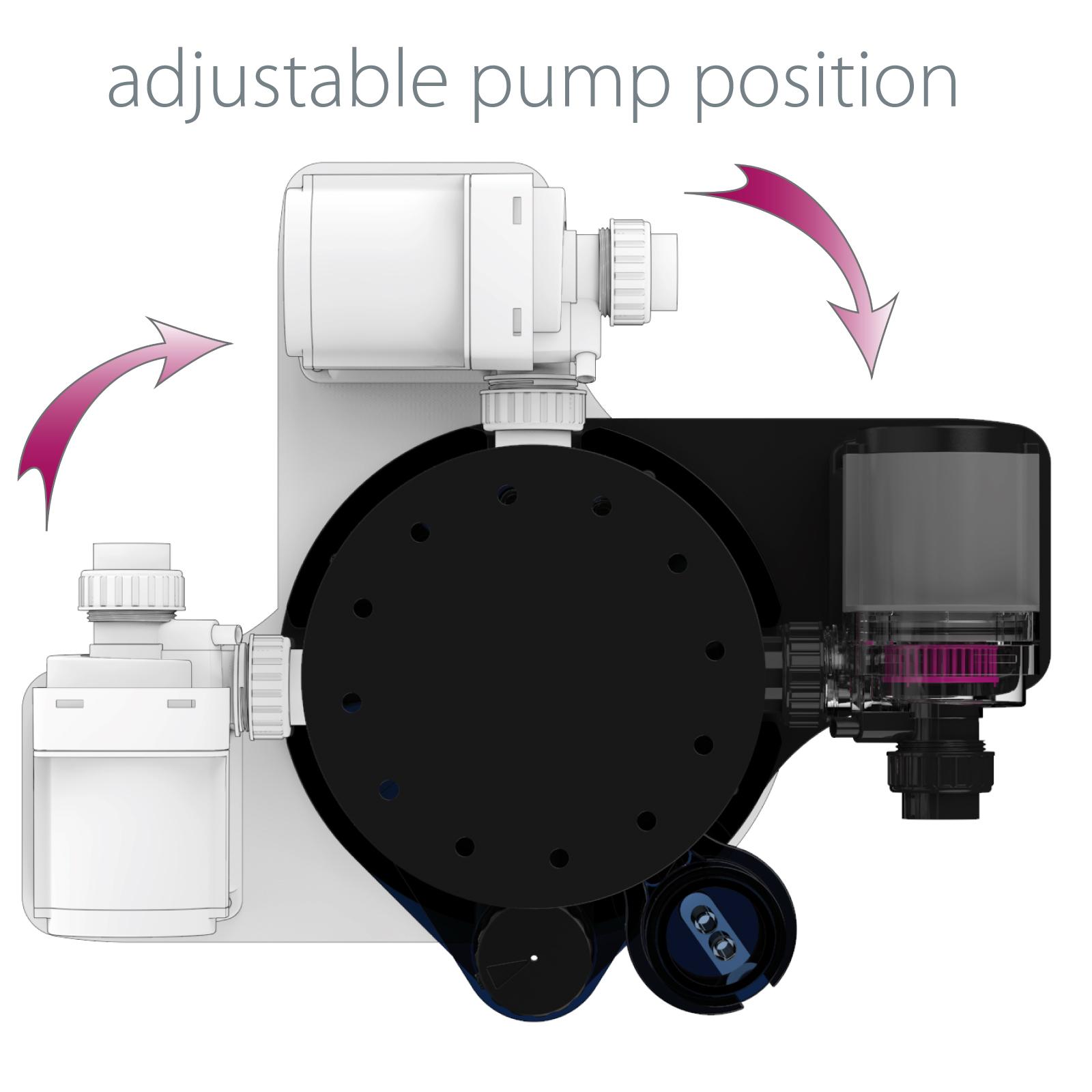 h_Ocean+Queen_16318696420