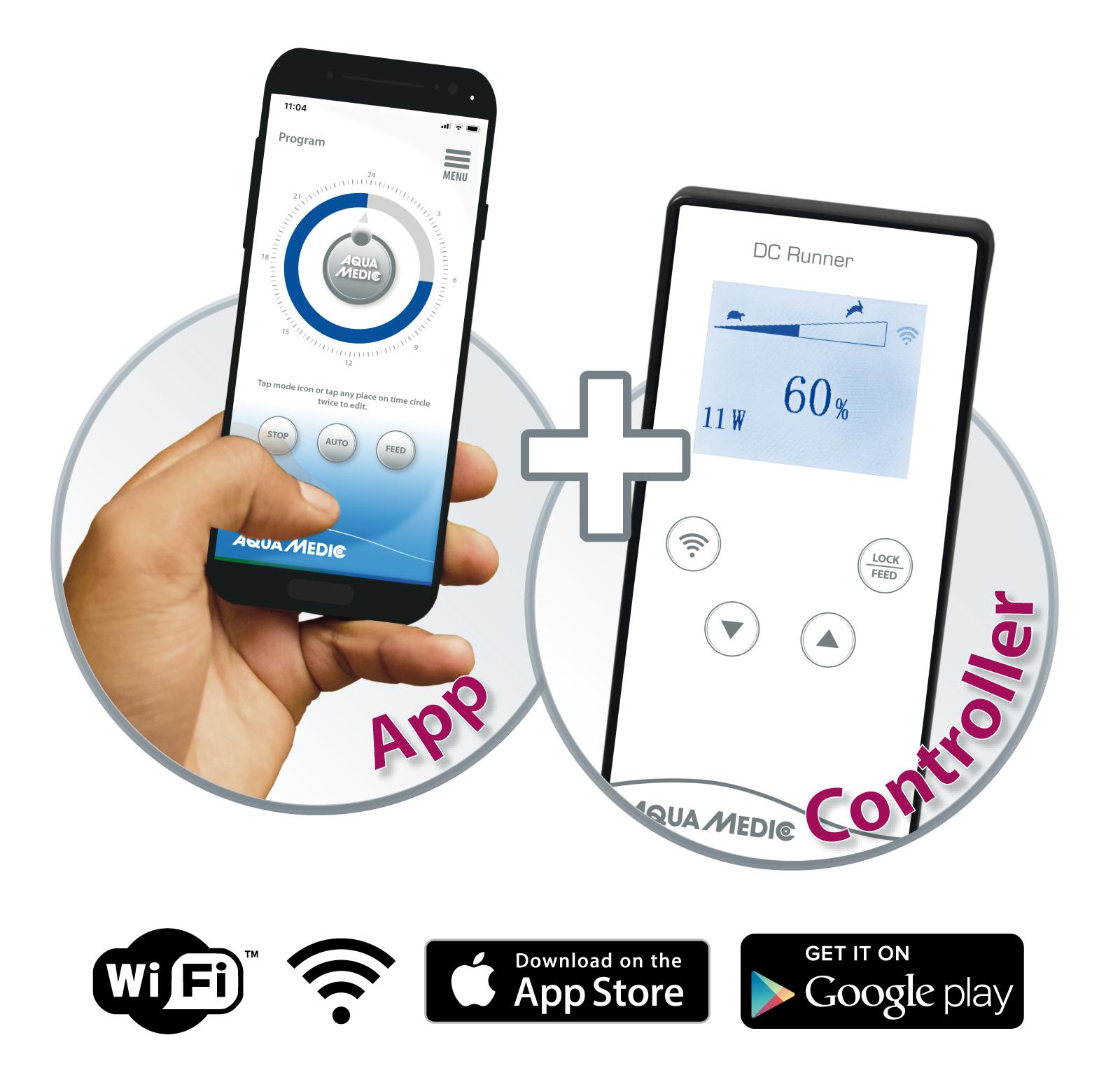 h_Ocean+Queen_16318696421